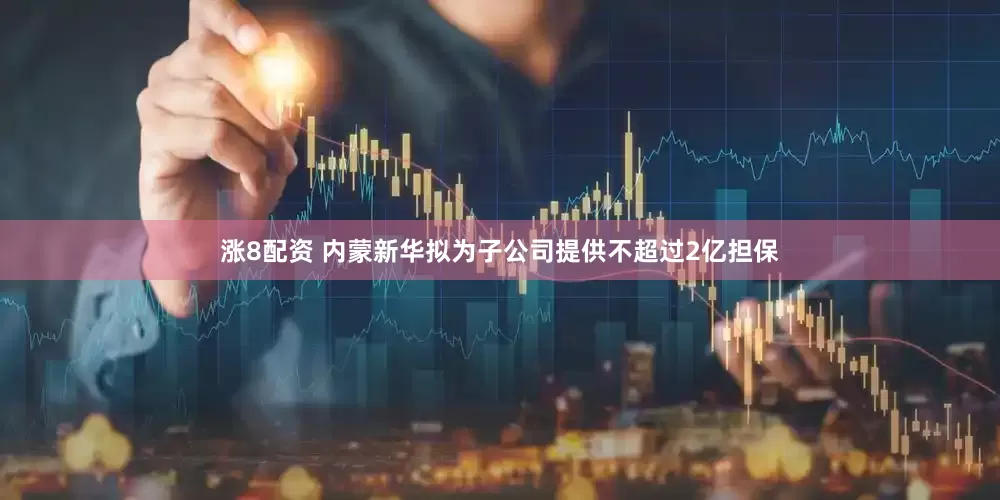 涨8配资 内蒙新华拟为子公司提供不超过2亿担保