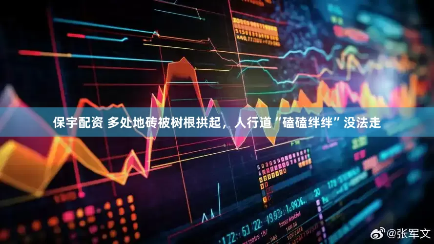 保宇配资 多处地砖被树根拱起，人行道“磕磕绊绊”没法走